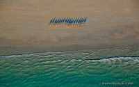 Broome, Western Australia<br />Added 10/07/2015